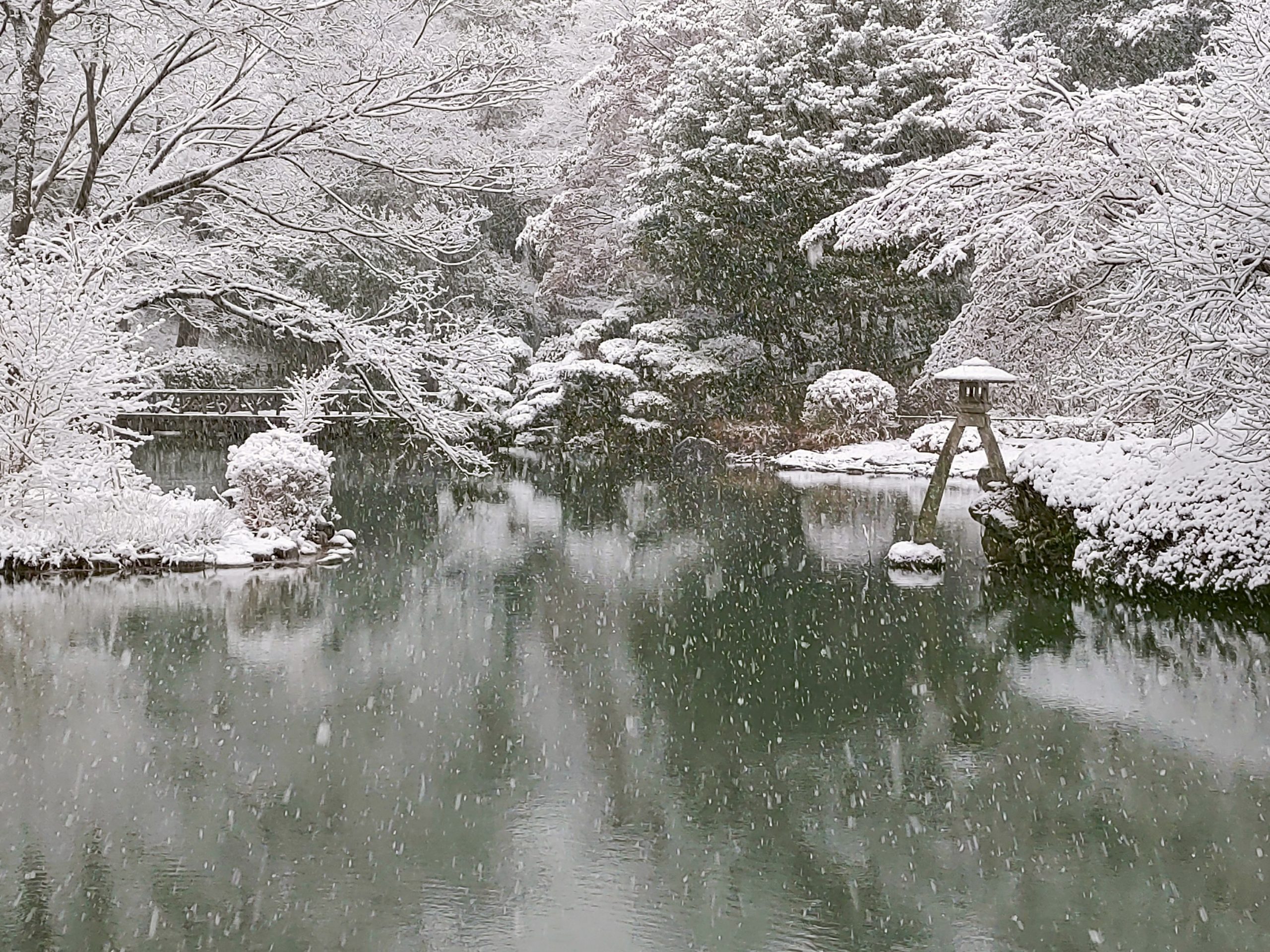 1月 池の雪景色